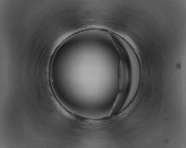 X0000091670910200708231326