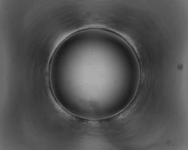 X0000091670911200708231326