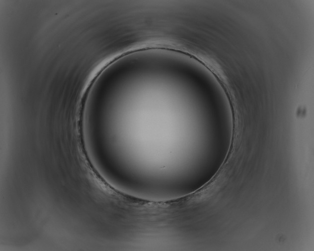 X0000091670912200708231326