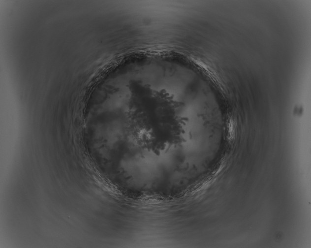 X0000091670913200708231325