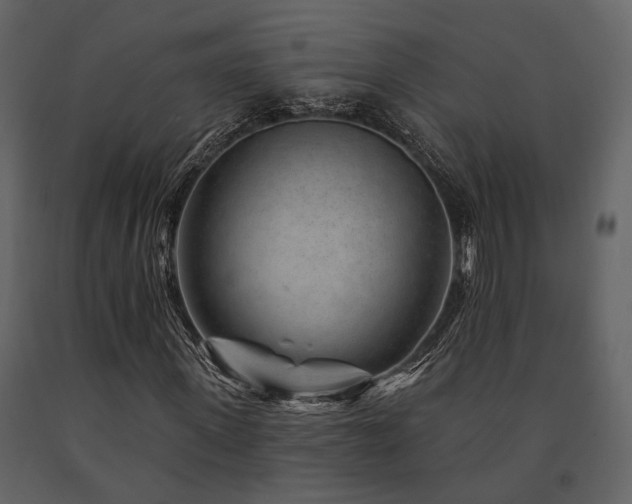 X0000091670915200708231325