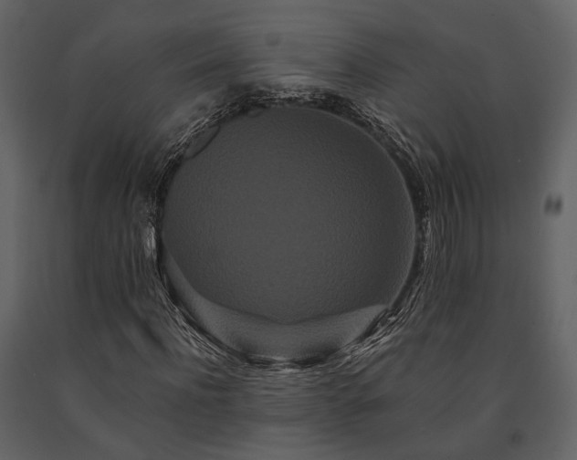X0000091670916200708231325