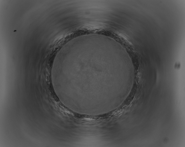 X0000091670917200708231325