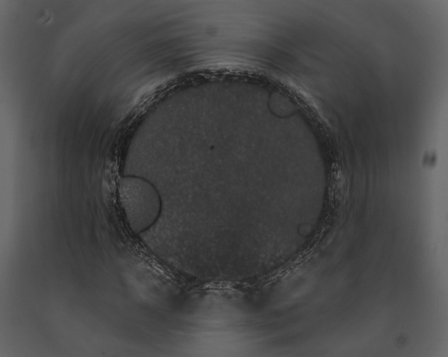 X0000091670918200708231325
