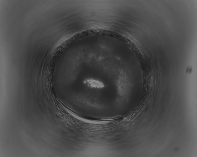 X0000091670919200708231325