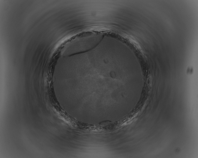 X0000091670920200708231325