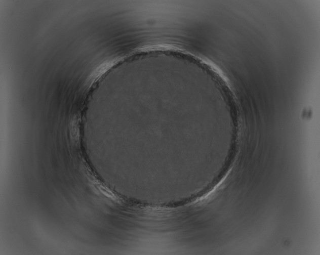X0000091670921200708231325