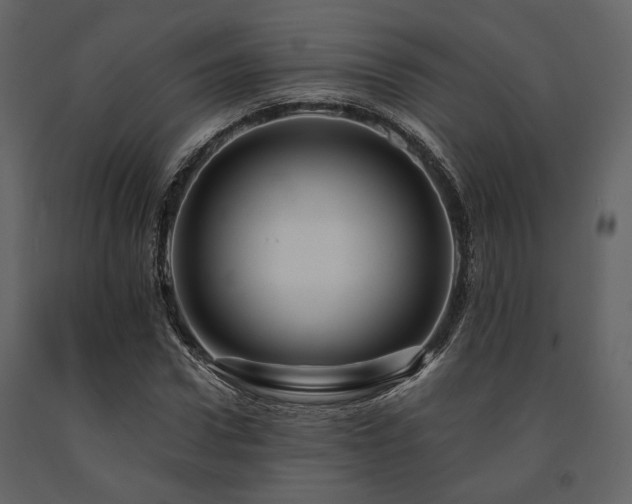 X0000091670922200708231325