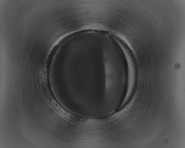 X0000091670923200708231325