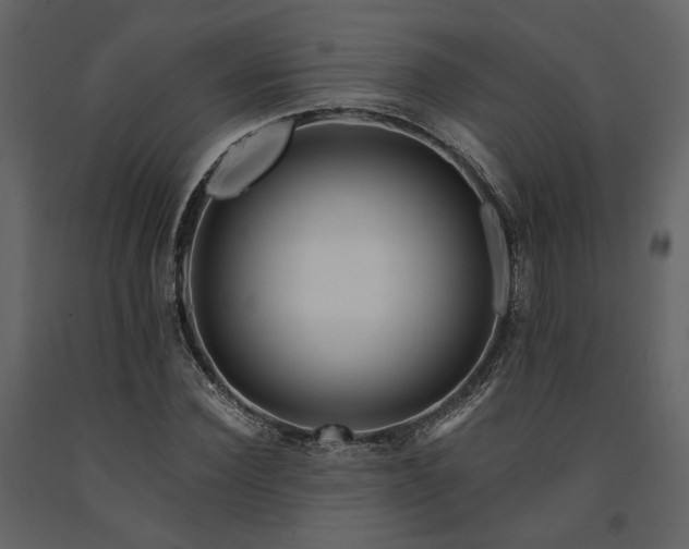 X0000091670924200708231325