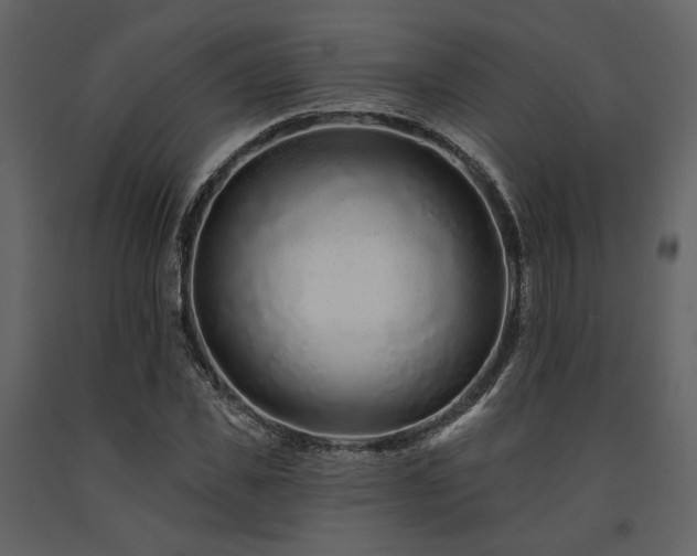 X0000091670925200708231325