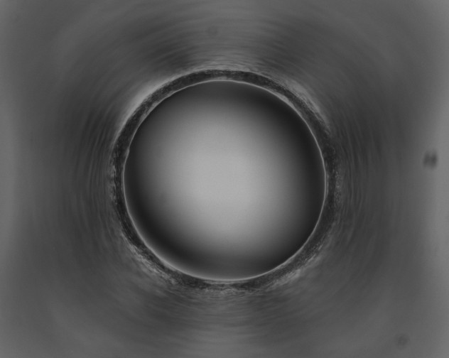 X0000091670926200708231325