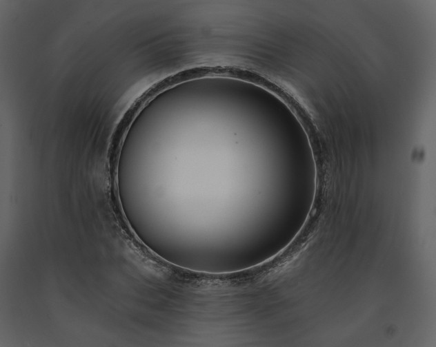X0000091670927200708231325
