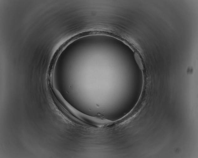 X0000091670928200708231325