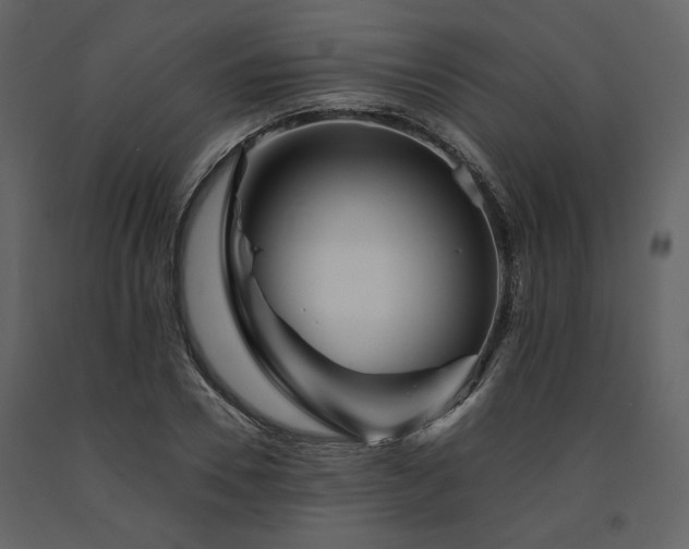 X0000091670930200708231326