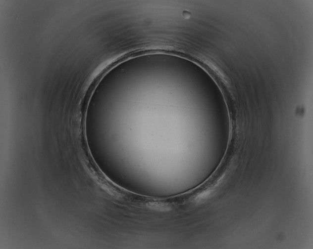 X0000091670933200708231326