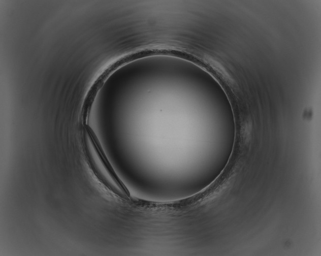 X0000091670934200708231326