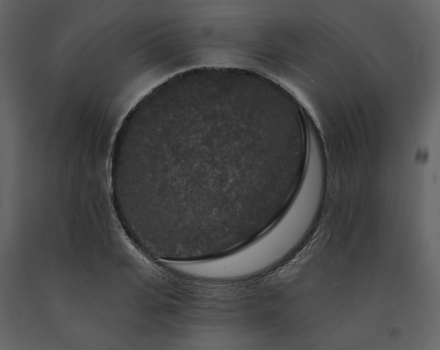 X0000091670935200708231326