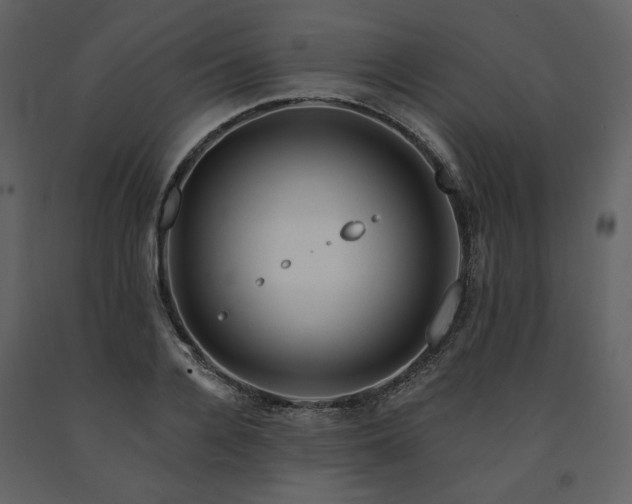 X0000091670936200708231326