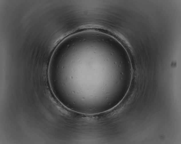 X0000091670937200708231326