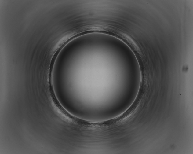 X0000091670938200708231326
