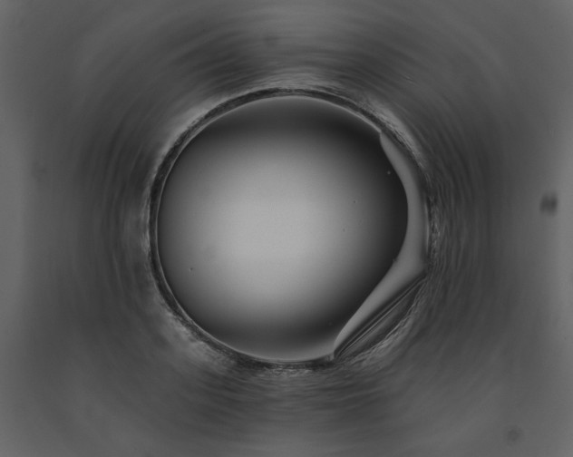 X0000091670939200708231326