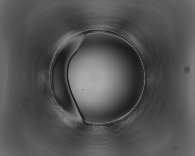 X0000091670940200708231326