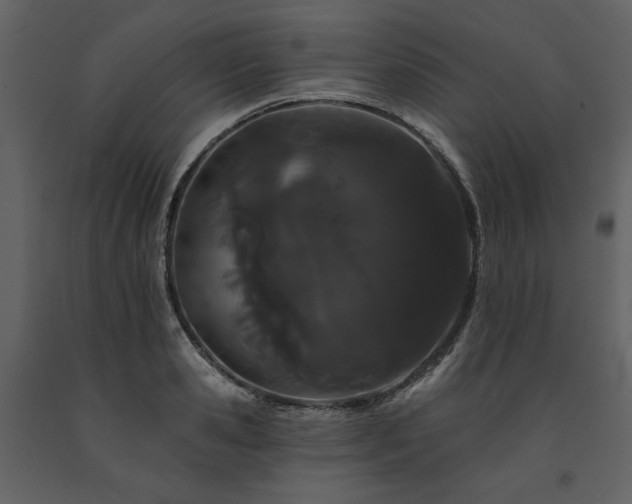 X0000091670941200708231326