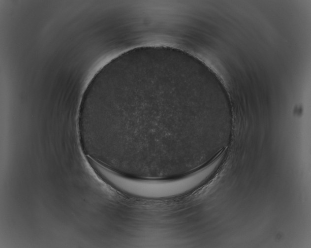 X0000091670943200708231326