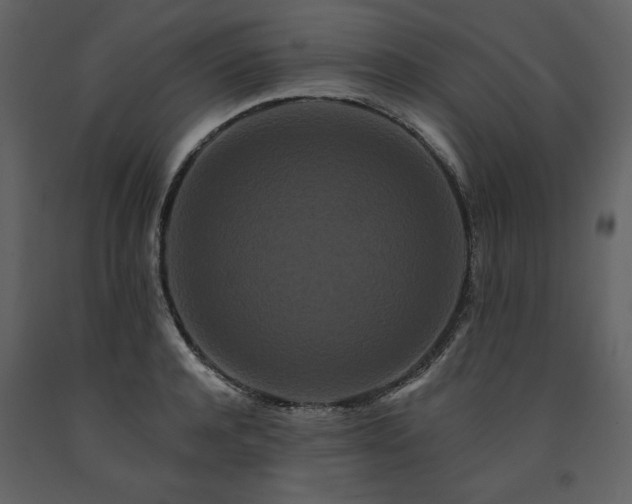 X0000091670944200708231326