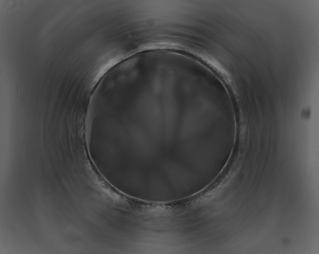 X0000091670945200708231326