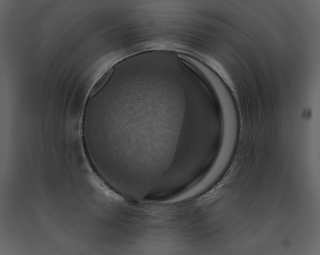 X0000091670946200708231326