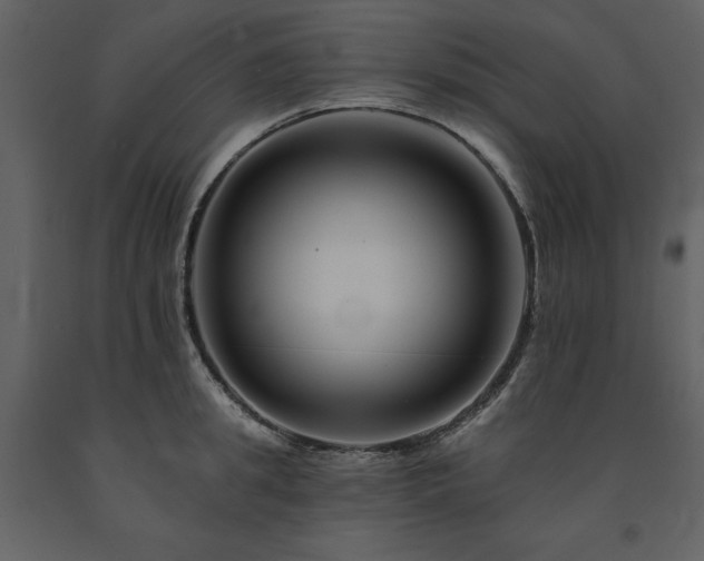 X0000091670949200708231326