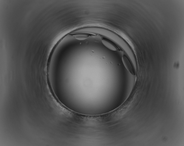 X0000091670951200708231326