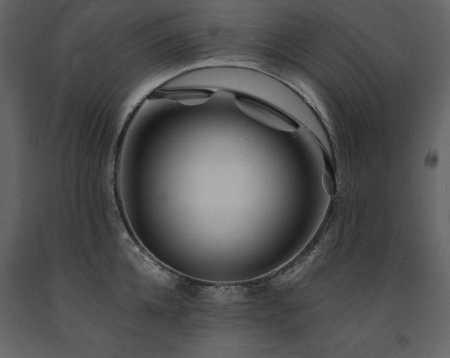X0000091670952200708231326