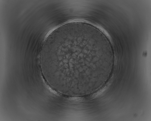 X0000091670953200708231326
