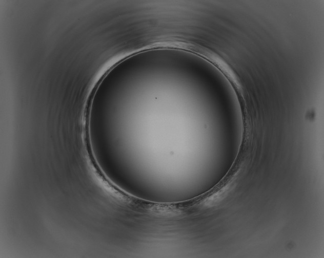 X0000091670955200708231326