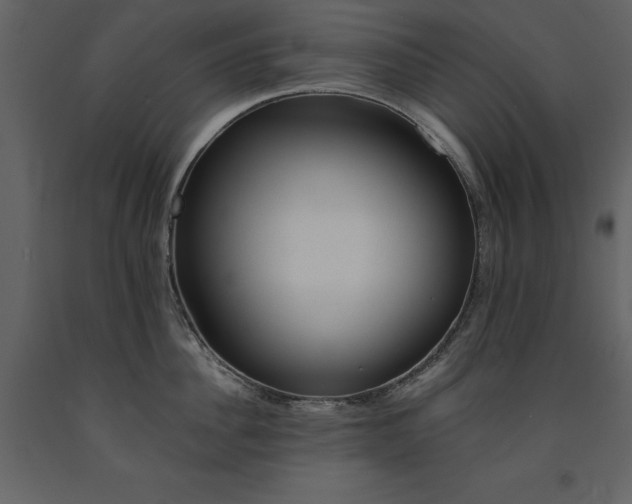 X0000091670956200708231326