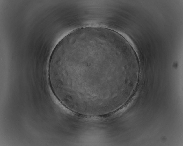 X0000091670957200708231326