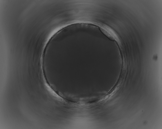 X0000091670958200708231326