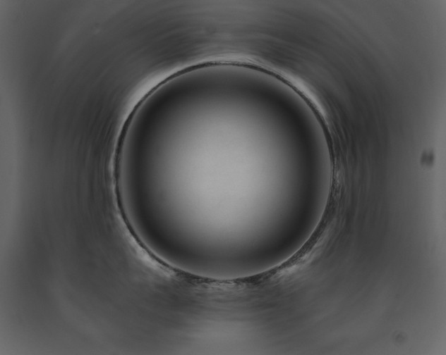 X0000091670959200708231326