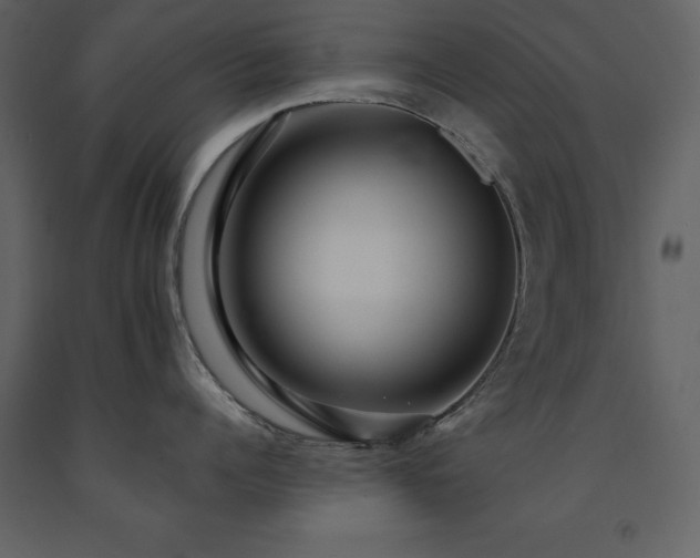 X0000091670960200708231326