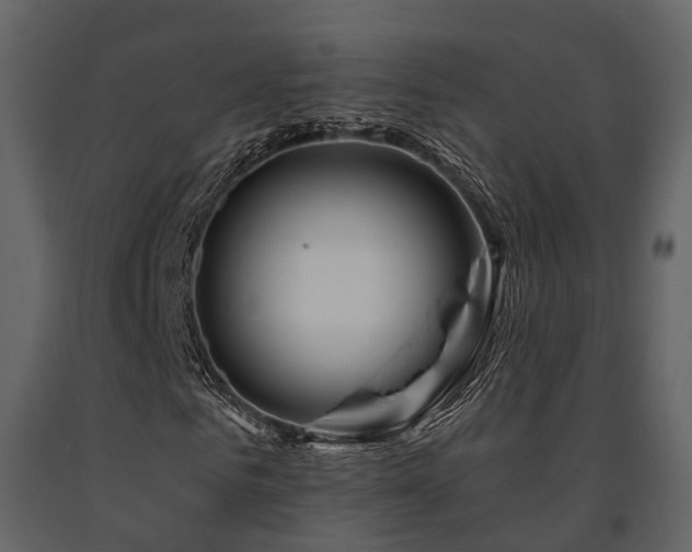 X0000091670961200708231325