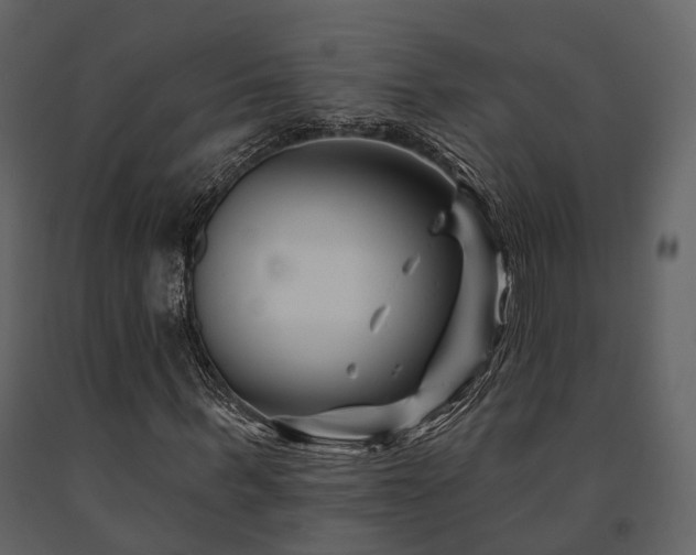 X0000091670963200708231325