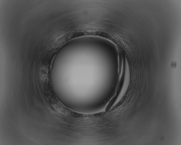 X0000091670964200708231325