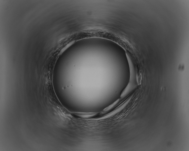 X0000091670965200708231325