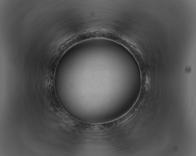 X0000091670966200708231325