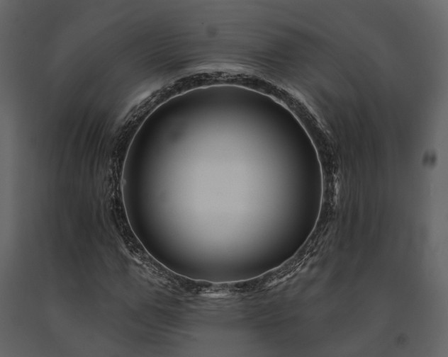 X0000091670967200708231325