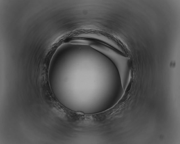 X0000091670968200708231325