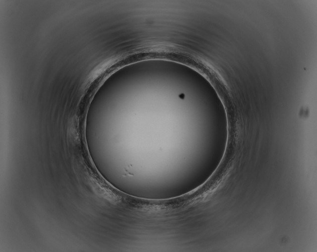 X0000091670970200708231325